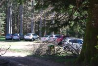 Monte cucuzzo  Aprile 2018 (33)